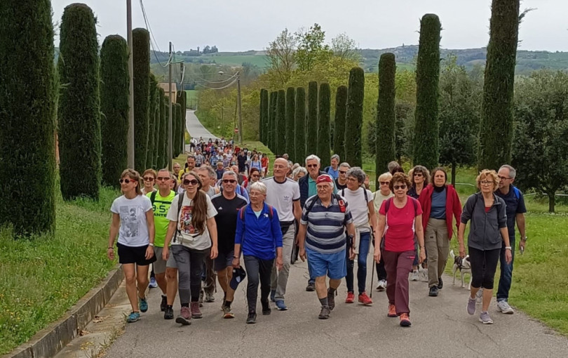 Causa pioggia sospese le passeggiate di Pontestura e Occimiano